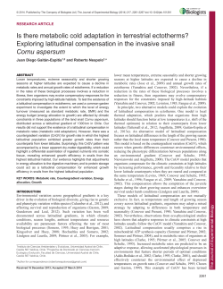 Is there metabolic cold adaptation in terrestrial ectotherms