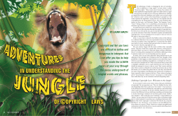 Copyright and fair use laws are difficult to define