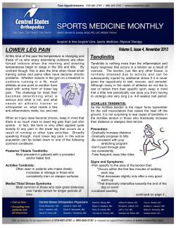 November 2013 - Central States Orthopedic Specialists