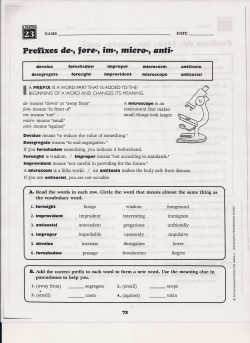 Prefixes de-, fore-, im-, miero-, anti