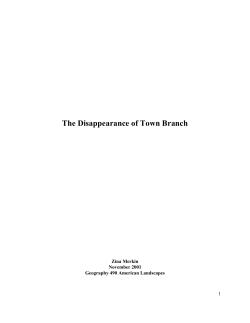 The Disappearance of Town Branch