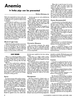 Anemia: in baby pigs can be prevented