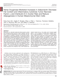 Heme Oxygenase-Mediated Increases in Adiponectin Decrease Fat