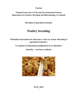 Poultry breeding