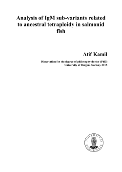 PhD Thesis