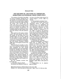 NEW RECORDS OF, AND NOTES ON, WHITEFLIES (HOMOPTERA