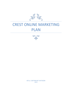 crest online marketing plan - RJ`s Internet Marketing Services