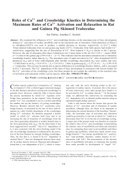 Roles of Ca2+ and Crossbridge Kinetics in Determining the