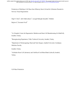 Production of Multilayer Cell Mass from Olfactory Stem Cell