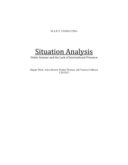 Situation Analysis - Yessica Calderon`s Business Portfolio