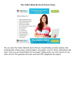 The Yellow Birds By Kevin Powers Essay