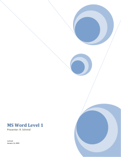 MS Word 2007 Basics