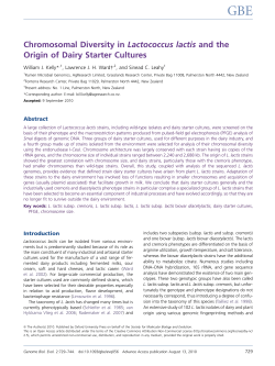 Chromosomal Diversity in Lactococcus lactis and the Origin of Dairy