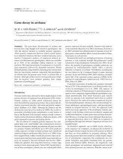 Gene decay in archaea