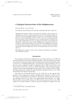 Cytological characteristics of the Sellaphoraceae
