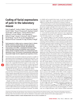 Coding of facial expressions of pain in the laboratory