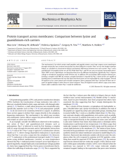 Protein transport across membranes