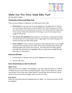Make Your Own Home Made Baby Food!