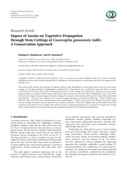 Impact of Auxins on Vegetative Propagation through Stem Cuttings