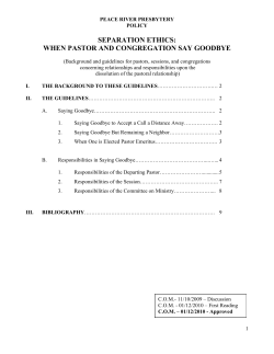 separation ethics: when pastor and