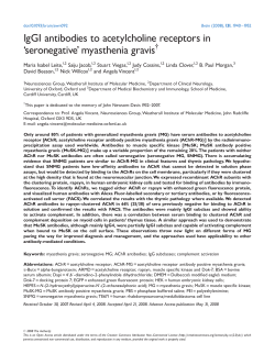 IgG1 antibodies to acetylcholine receptors in `seronegative