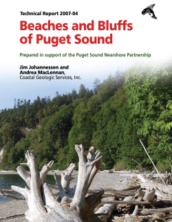 Beaches and Bluffs of Puget Sound