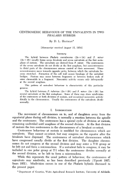 CENTROMERIC BEHAVIOUR OF THE UNIVALENTS IN TWO
