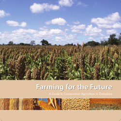 A Guide to Conservation Agriculture in Zimbabwe