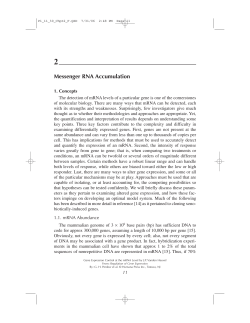 Messenger RNA Accumulation