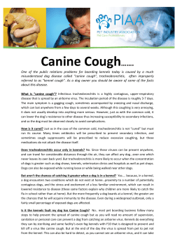Canine Cough&hellip;&hellip;. - Samford Pet Resort