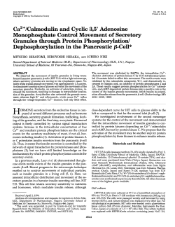 Ca2+/Calmodulin and Cyclic 3,5` Adenosine Monophosphate