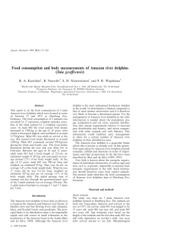 Food consumption and body measurements of Amazon river dolphins