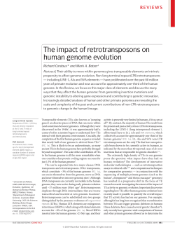 The impact of retrotransposons on human genome evolution