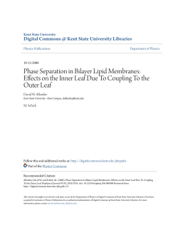 Phase Separation in Bilayer Lipid Membranes: Effects on the Inner