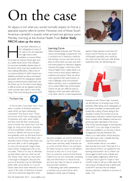 An alpaca is not what you would normally expect to find at a