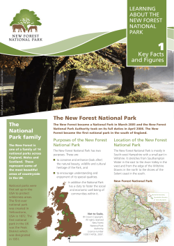 Now - New Forest National Park Authority