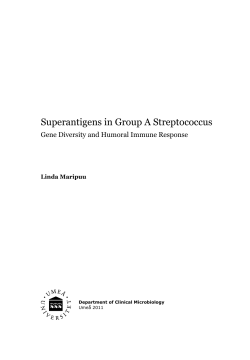 Superantigens in Group A Streptococcus