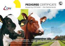 Pedigree CertifiCate