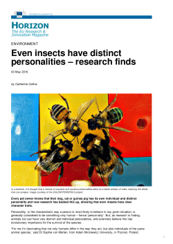 Even insects have distinct personalities &ndash; research finds