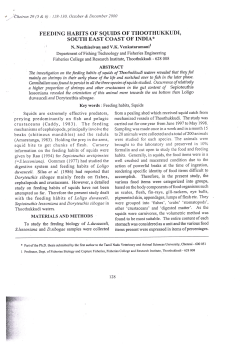 squid bite to get chunks of flesh. Cursory FEEDING