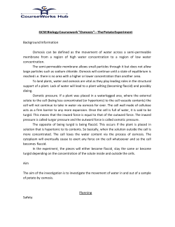 GCSE Biology Coursework &rdquo;Osmosis&rdquo;: - The Potato