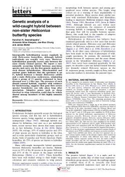 Genetic analysis of a wild-caught hybrid between non-sister
