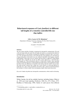 Behavioural responses of Canis familiaris to different tail lengths of a