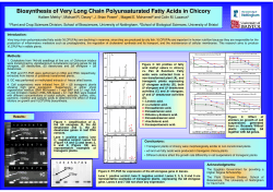 Biosynthesis of Very Long Chain Polyunsaturated Fatty Acids in