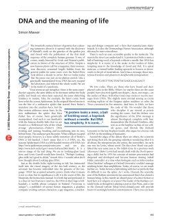 DNA and the meaning of life