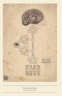 Consciousness System