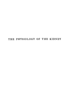 the physiology of the kidney