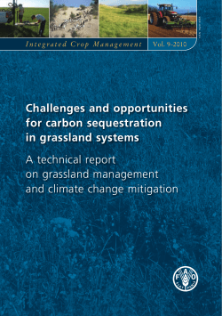 Challenges and opportunities for carbon sequestration in grassland