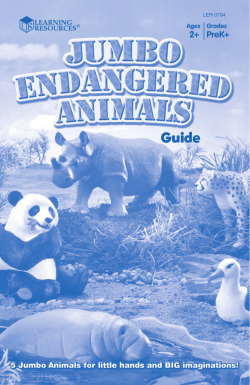 Jumbo Endangered Animals