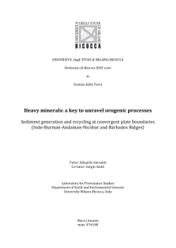 Heavy minerals: a key to unravel orogenic processes